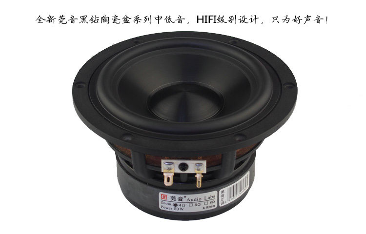 1 Stuks Audio Labs 5.25 ''Hifi - Speaker Driver recensie en prijs