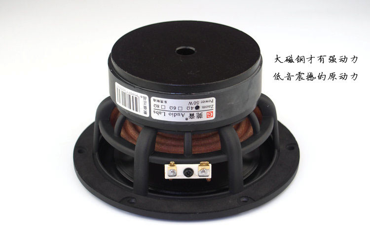 1 Stuks Audio Labs 5.25 ''Hifi - Speaker Driver recensie en prijs